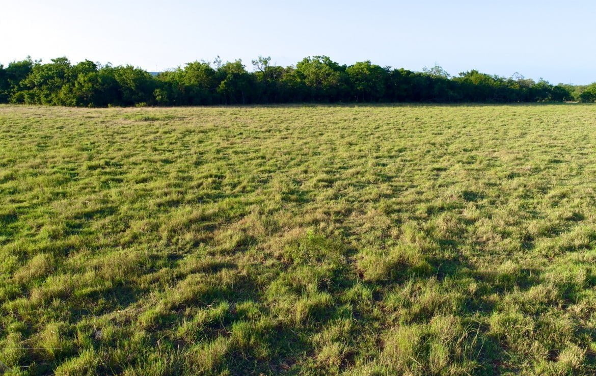 85 acres in Taylor County