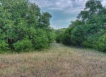 226 acres in Palo Pinto County