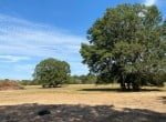 226 acres in Red River County