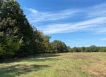 226 acres in Red River County