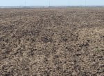 530 acres in Wilbarger County