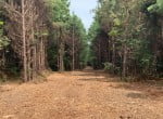 20 acres in Bowie County