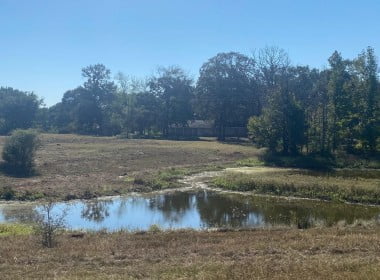 28 acres in Titus County