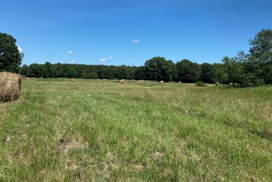 30 acres in Red River County