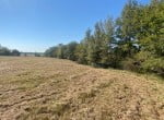 10 acres in Titus County