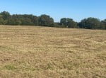 28 acres in Titus County