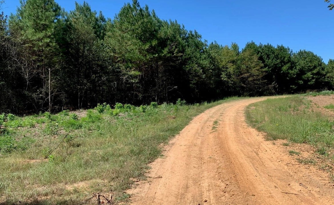 24 acres in Bowie County