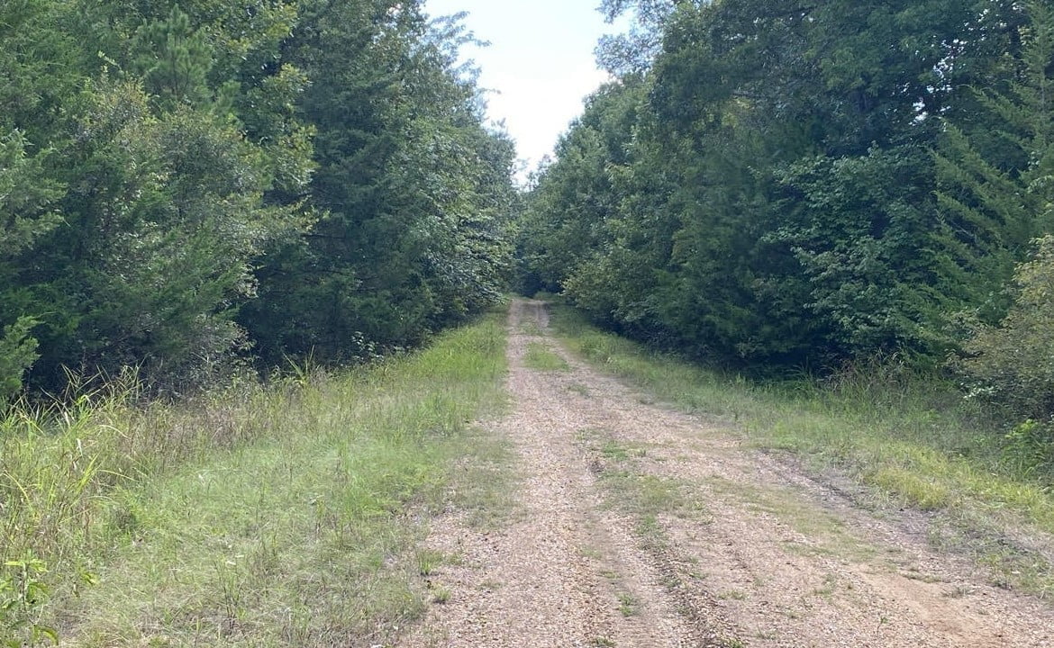 56 acres in Red River County