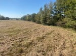 17 acres in Titus County