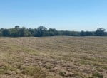 17 acres in Titus County