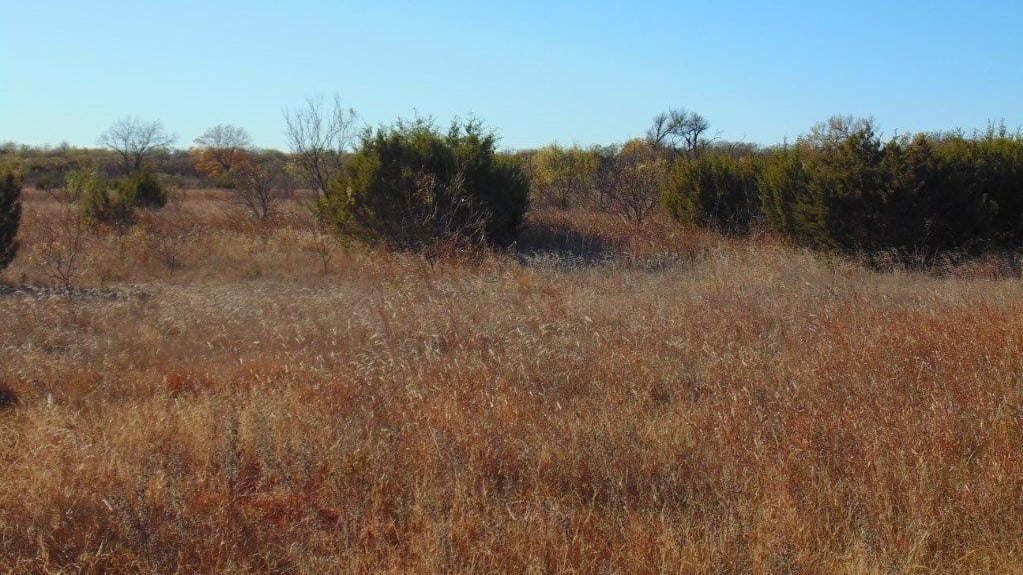 380 acres in Taylor County