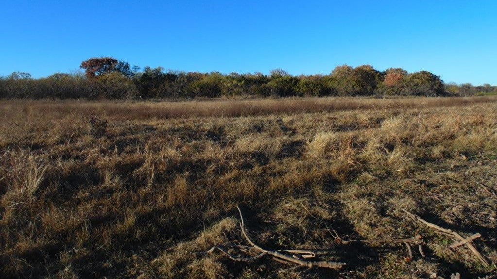 380 acres in Taylor County