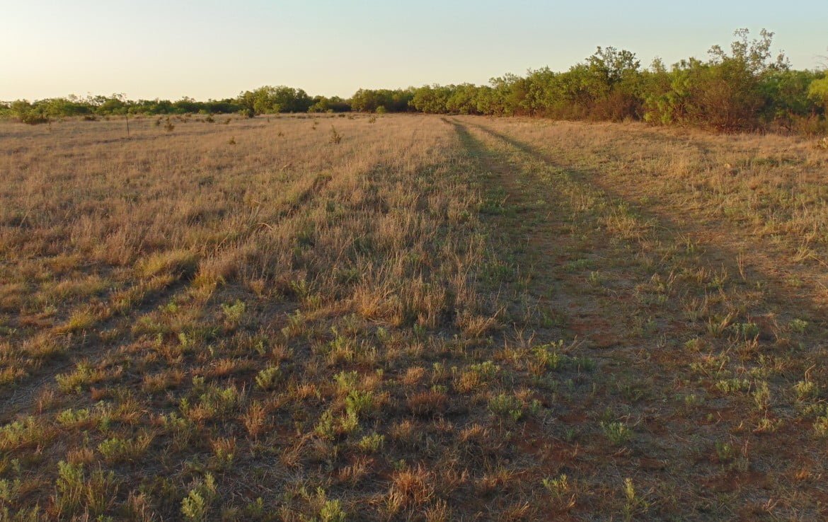 11 acres in Taylor County – Tract 2
