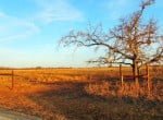 17 acres in Taylor County