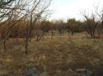 13 acres in Taylor County