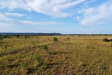 11 acres in Taylor County – Tract 5