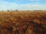 11 acres in Taylor County