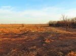 17 acres in Taylor County