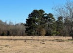 17 acres in Cass County