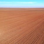 320 acres in Hardeman County