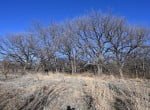85 acres in Clay County