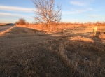 52 acres in Clay County