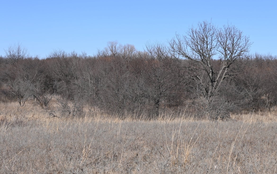 74 acres in Clay County