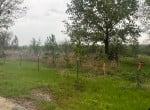 16 acres in Red River County