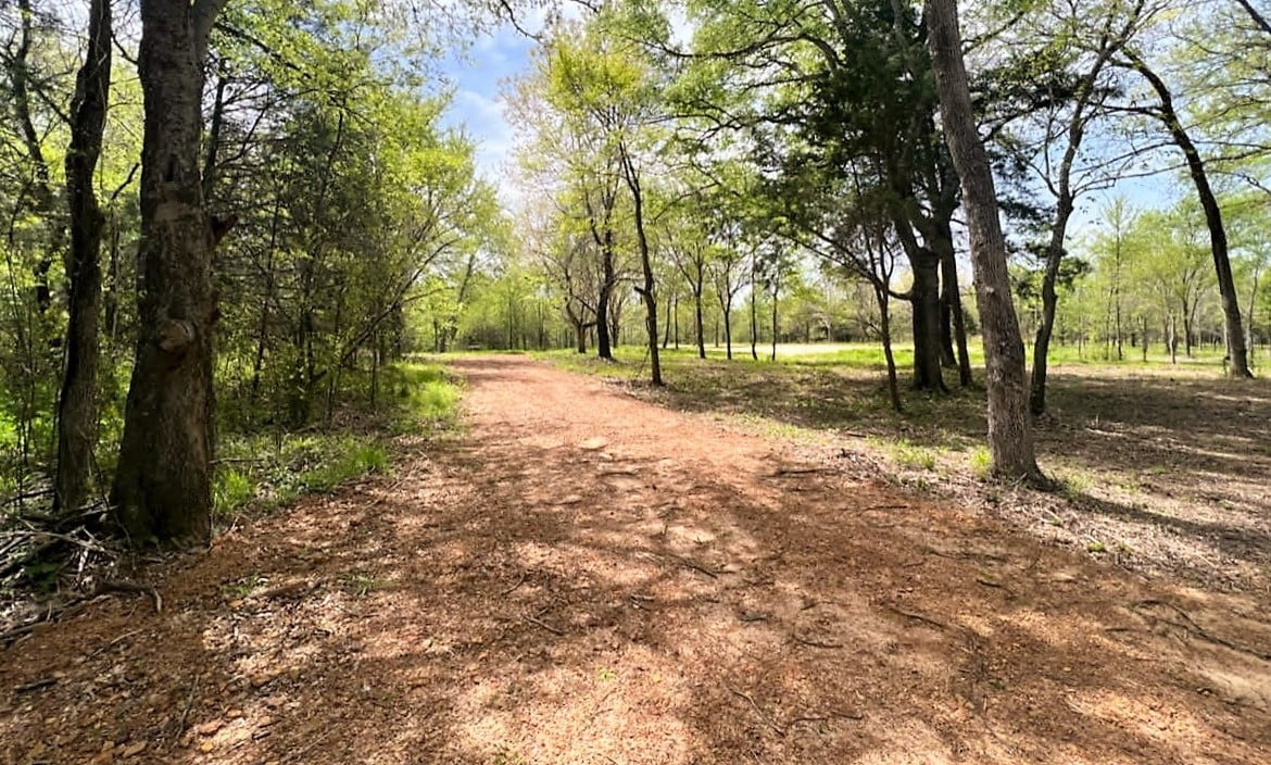 3 acres in Titus County