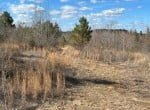 20 acres in Cass County
