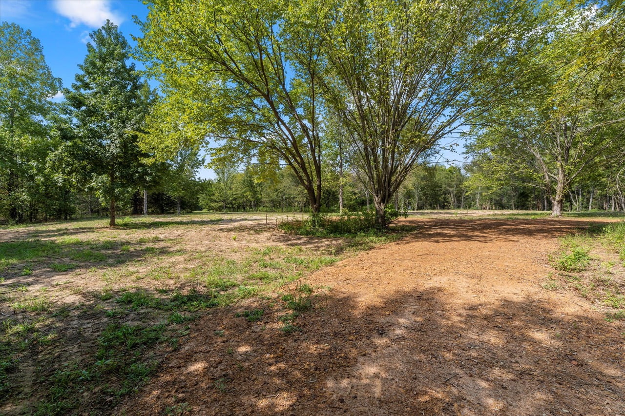 3 acres in Titus County Texas for Sale