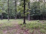 10 acres in Red River County