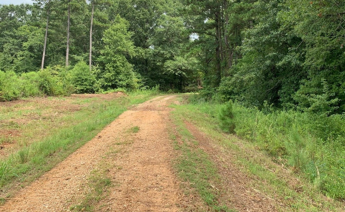 58 acres in Bowie County