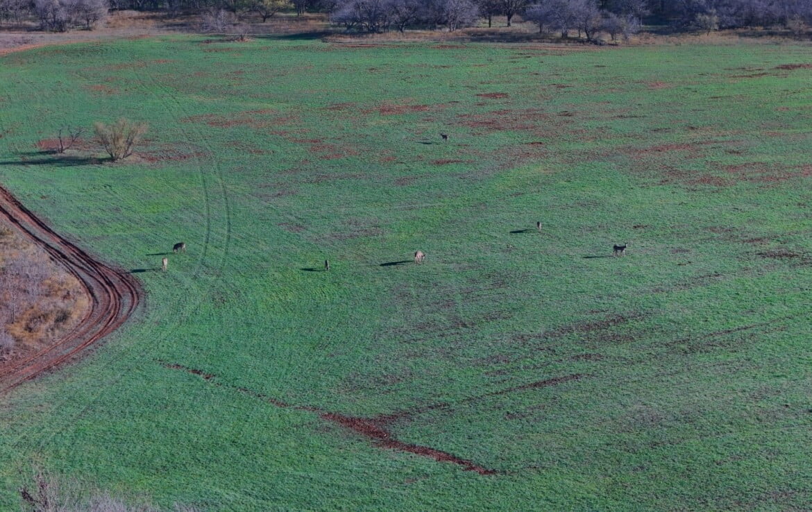 133 acres in Wilbarger County