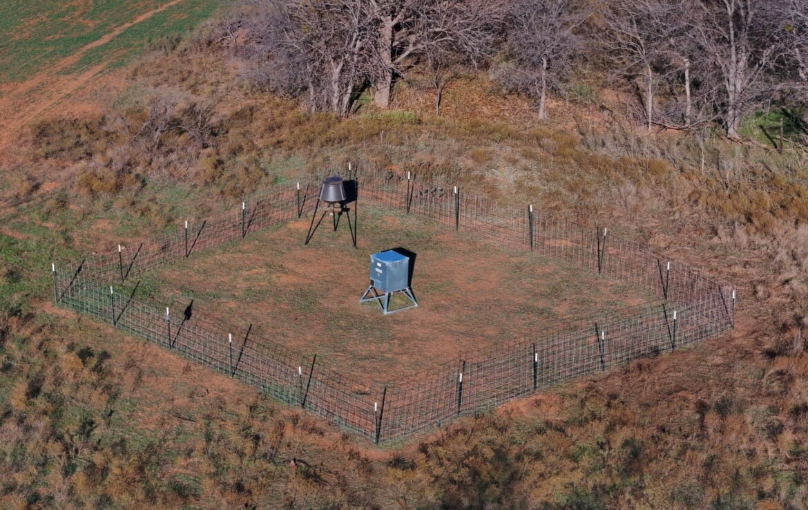 133 acres in Wilbarger County