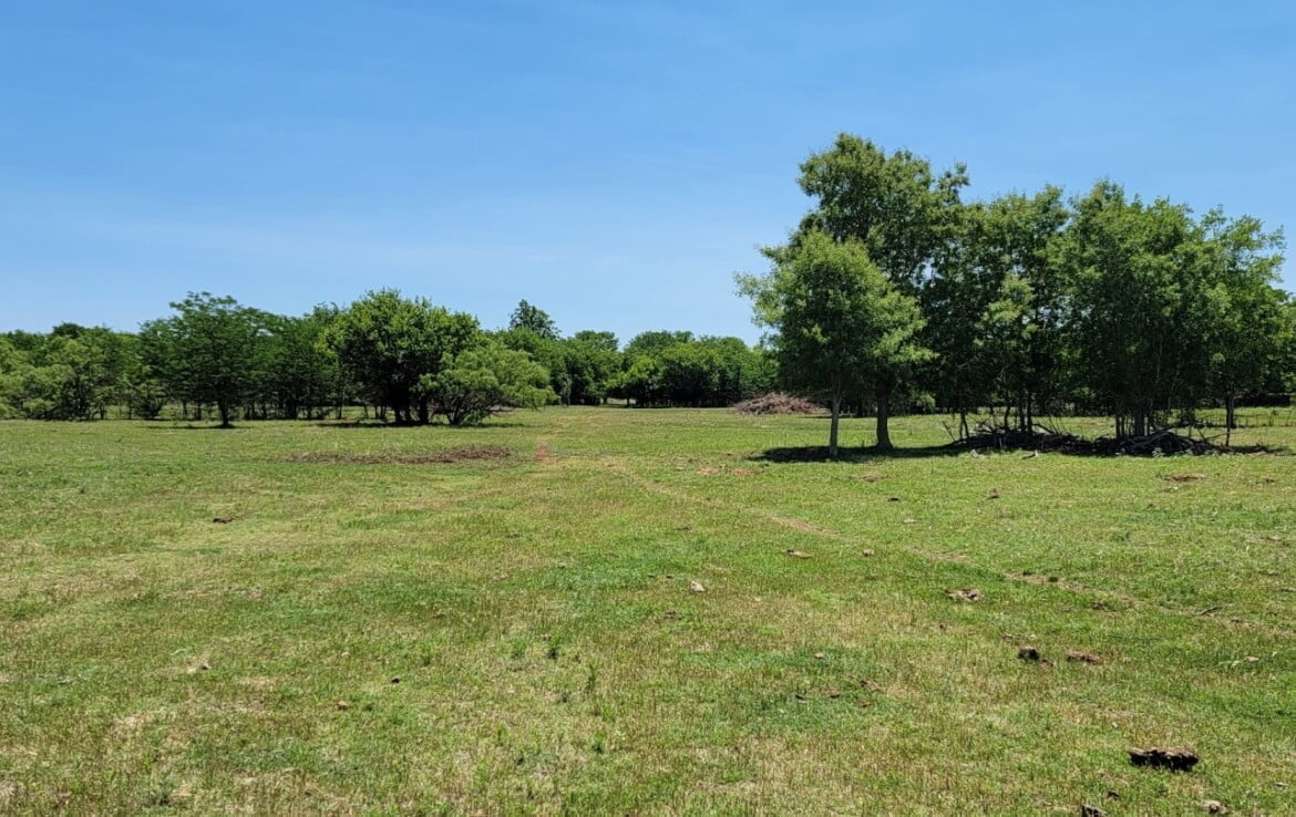 133 acres in Wilbarger County