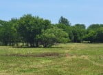 133 acres in Wilbarger County