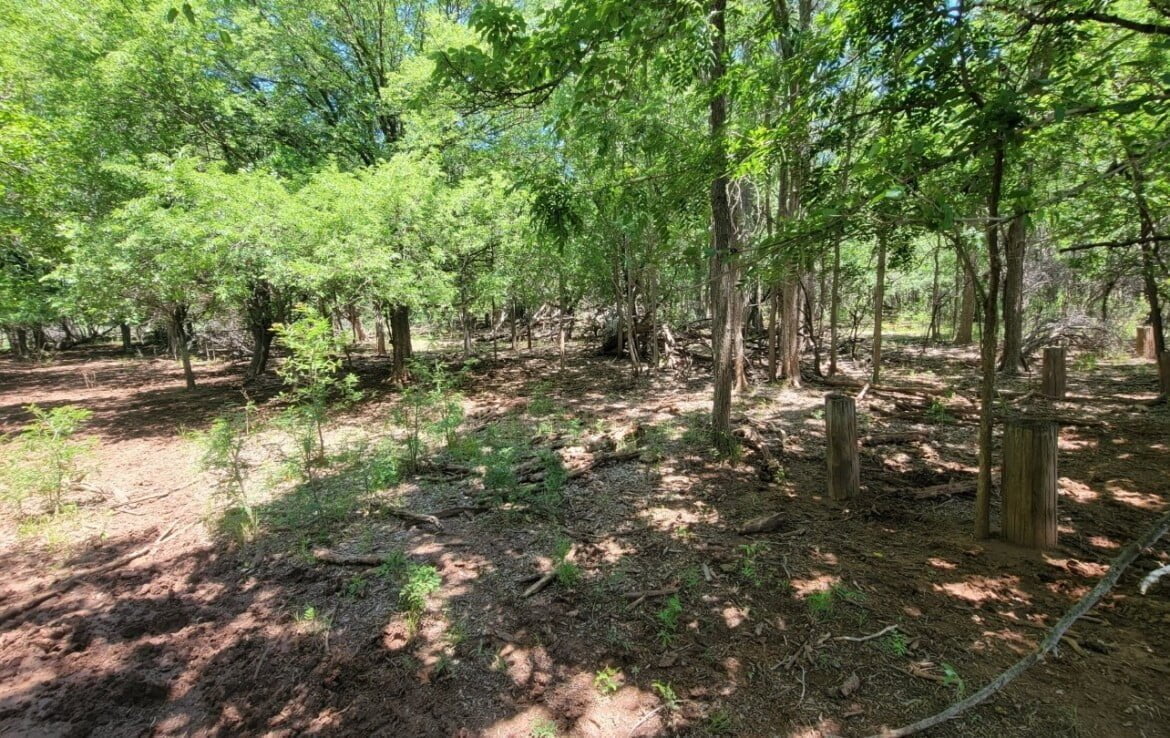 133 acres in Wilbarger County