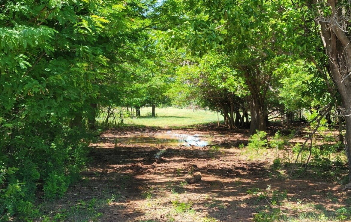 133 acres in Wilbarger County