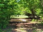 133 acres in Wilbarger County