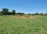 133 acres in Wilbarger County