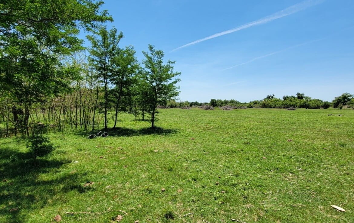 133 acres in Wilbarger County