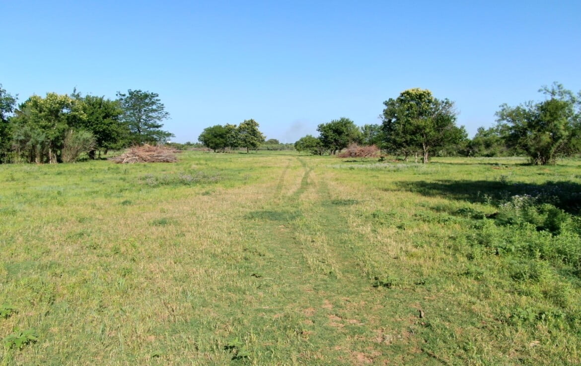133 acres in Wilbarger County