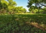 133 acres in Wilbarger County