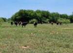 133 acres in Wilbarger County