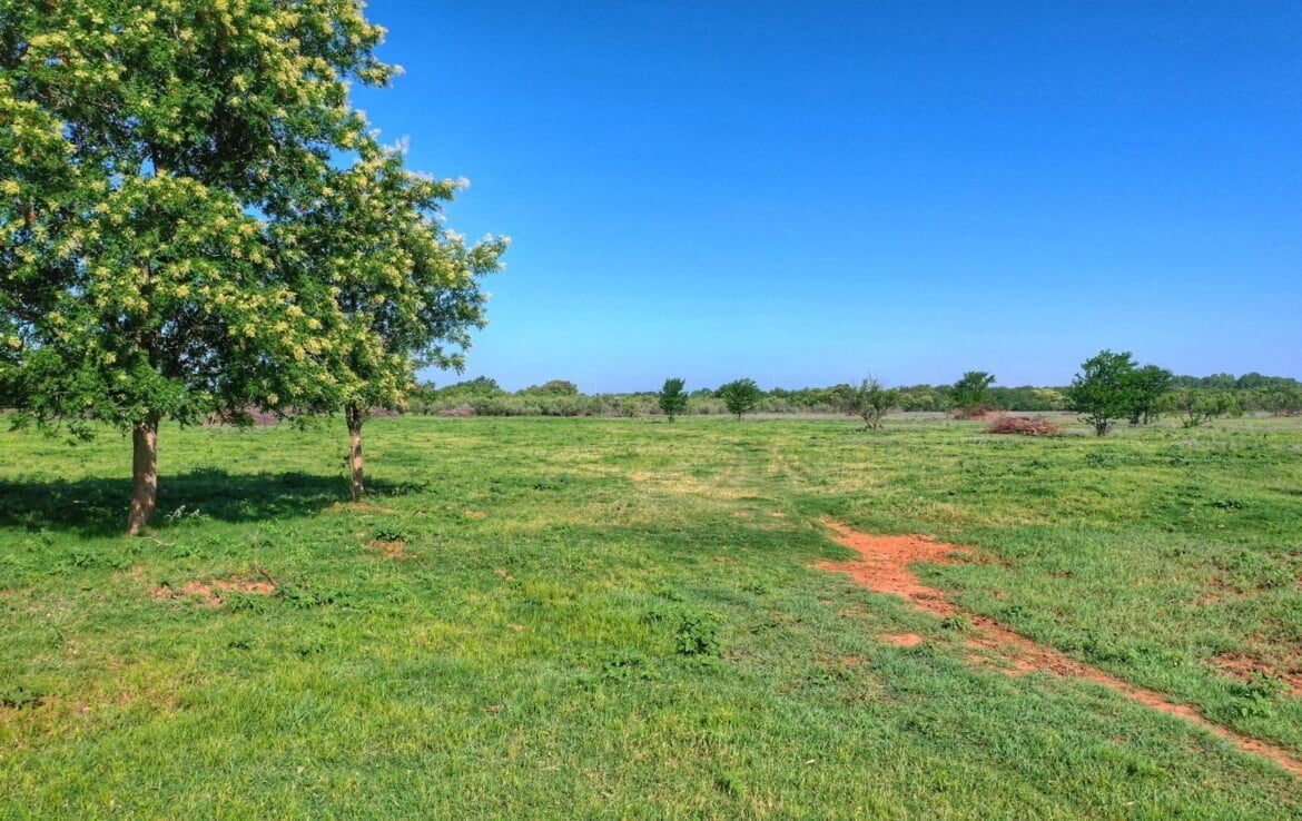 133 acres in Wilbarger County