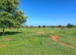 133 acres in Wilbarger County
