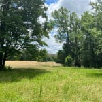 12 acres in Cass County