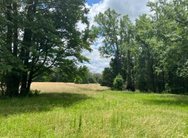 12 acres in Cass County