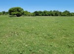 133 acres in Wilbarger County